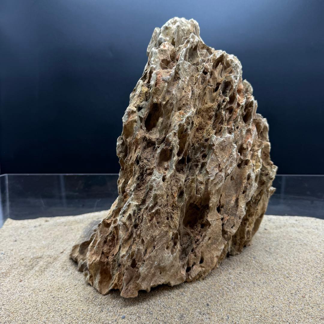MQS-6873 特大気孔石1点物　32cm 黄虎石　水槽用石　アクアリウム