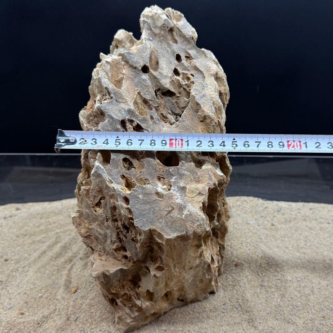 MQS-6873 特大気孔石1点物　32cm 黄虎石　水槽用石　アクアリウム