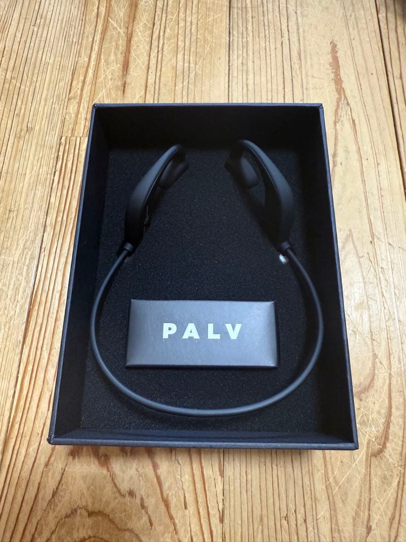 PALV 骨伝導イヤホン