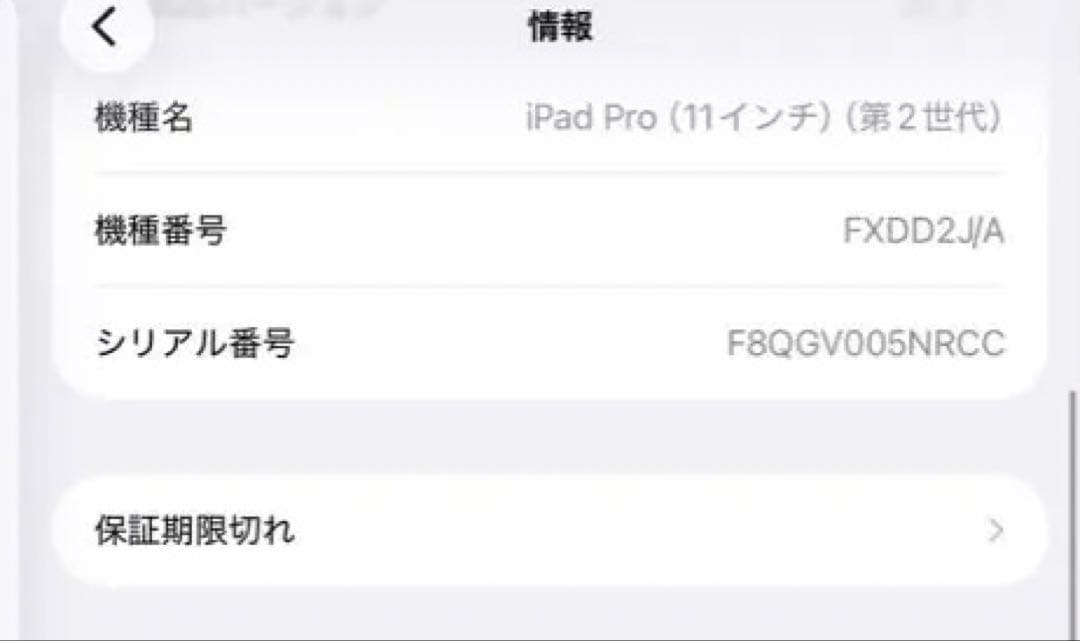 iPad Pro 11インチ 第2 256GB + Apple Pencil第2