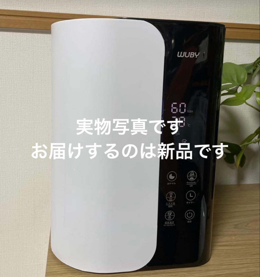 加湿器 大容量 5重除菌 加熱式 マイナスイオン 白 ホワイト 卓上 355