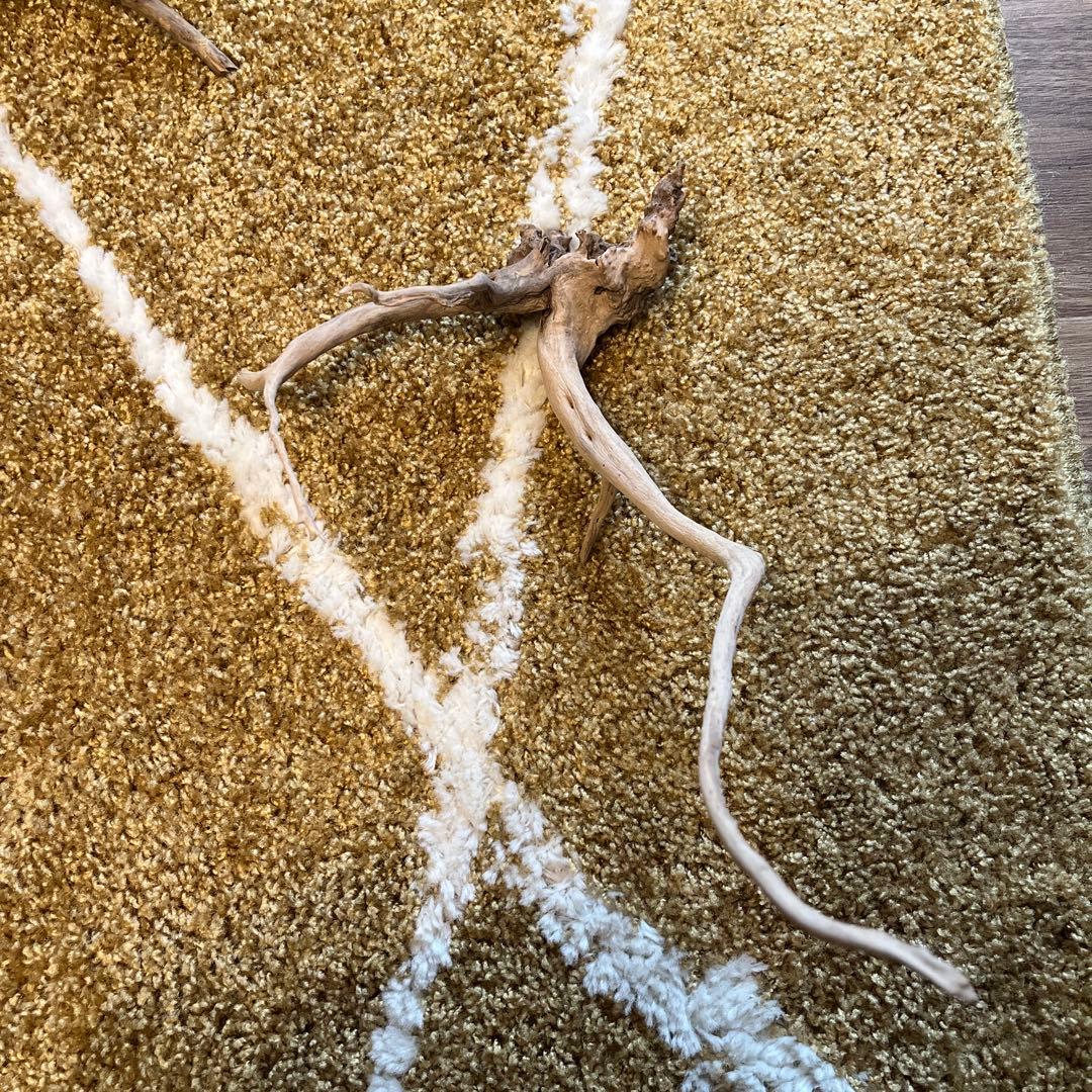水槽用流木セット