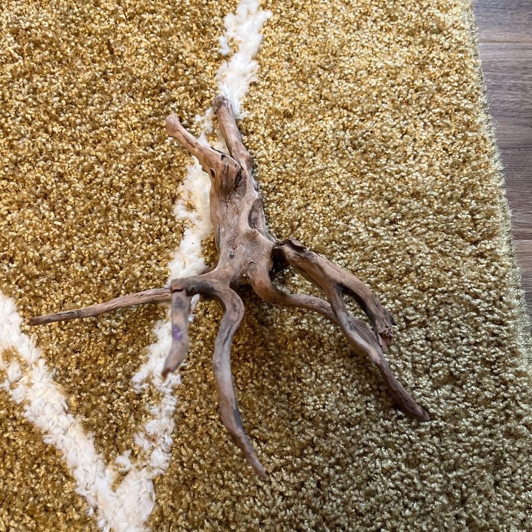 水槽用流木セット