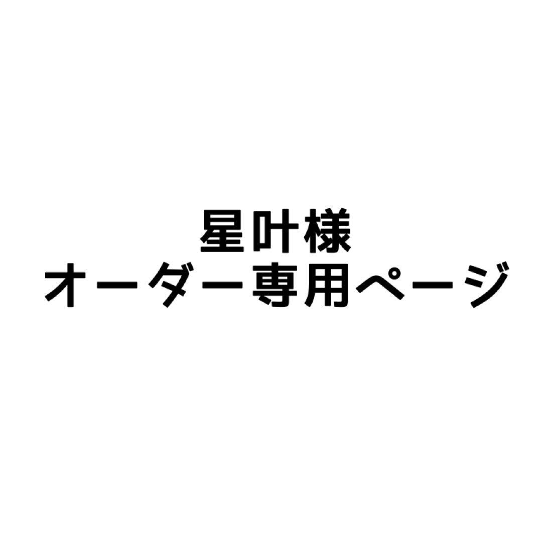 星叶❤︎様 オーダー専用 ページ