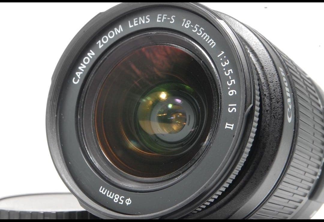 Canon EOS Kiss X5　標準レンズ ＆ 望遠レンズ100-300