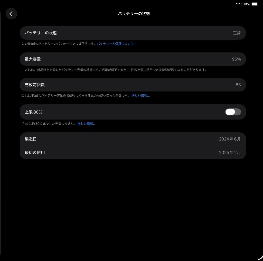 極美品 iPad Pro 13インチ M4 スペースブラック 256GB おまけ