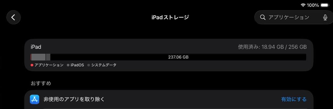 極美品 iPad Pro 13インチ M4 スペースブラック 256GB おまけ