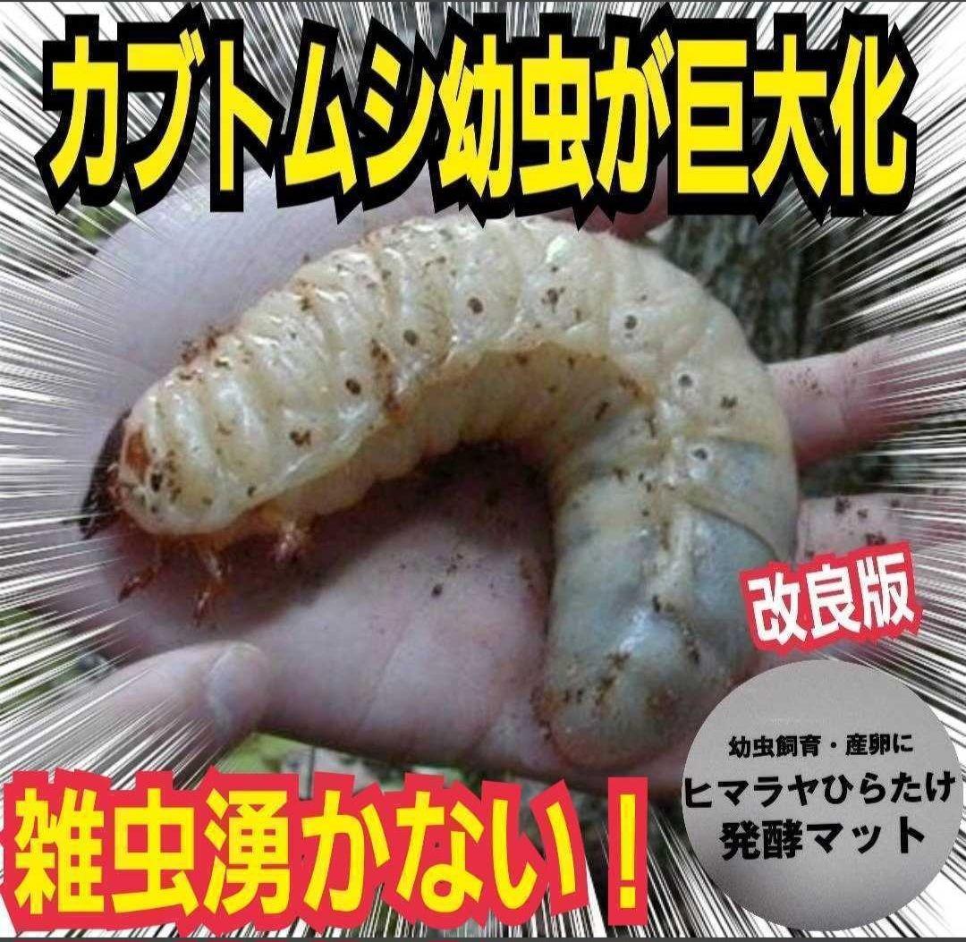 カブトムシ幼虫が丸々太ります！栄養価抜群の発酵マット【100L】産卵にもお薦め！