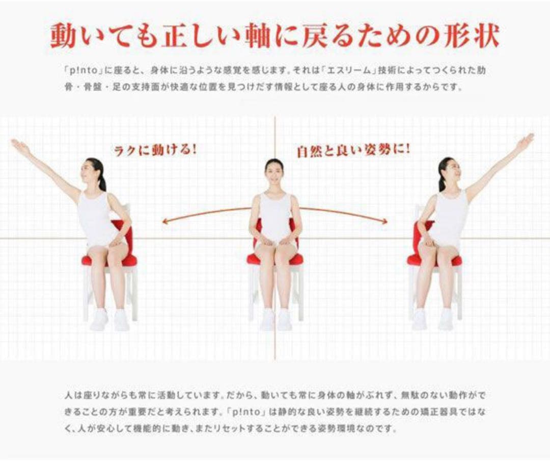 持ち運び用バッグ一体型 姿勢サポートクッション ピントエアー★新品★ Pinto