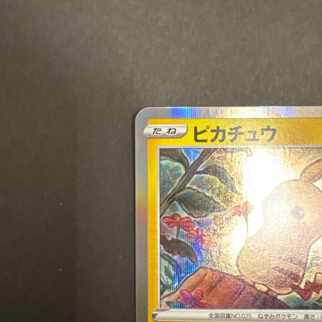 ピカチュウ：「ピカピカ！ピカチュウ！プロモカードキャンペーン！」 PROMO …