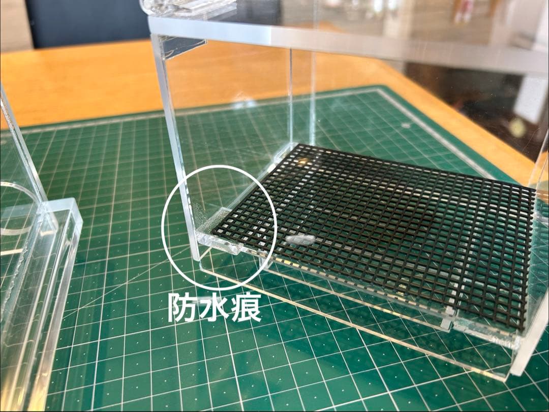 まりも　45㎝ガラス水槽用アクアポニックス仕様