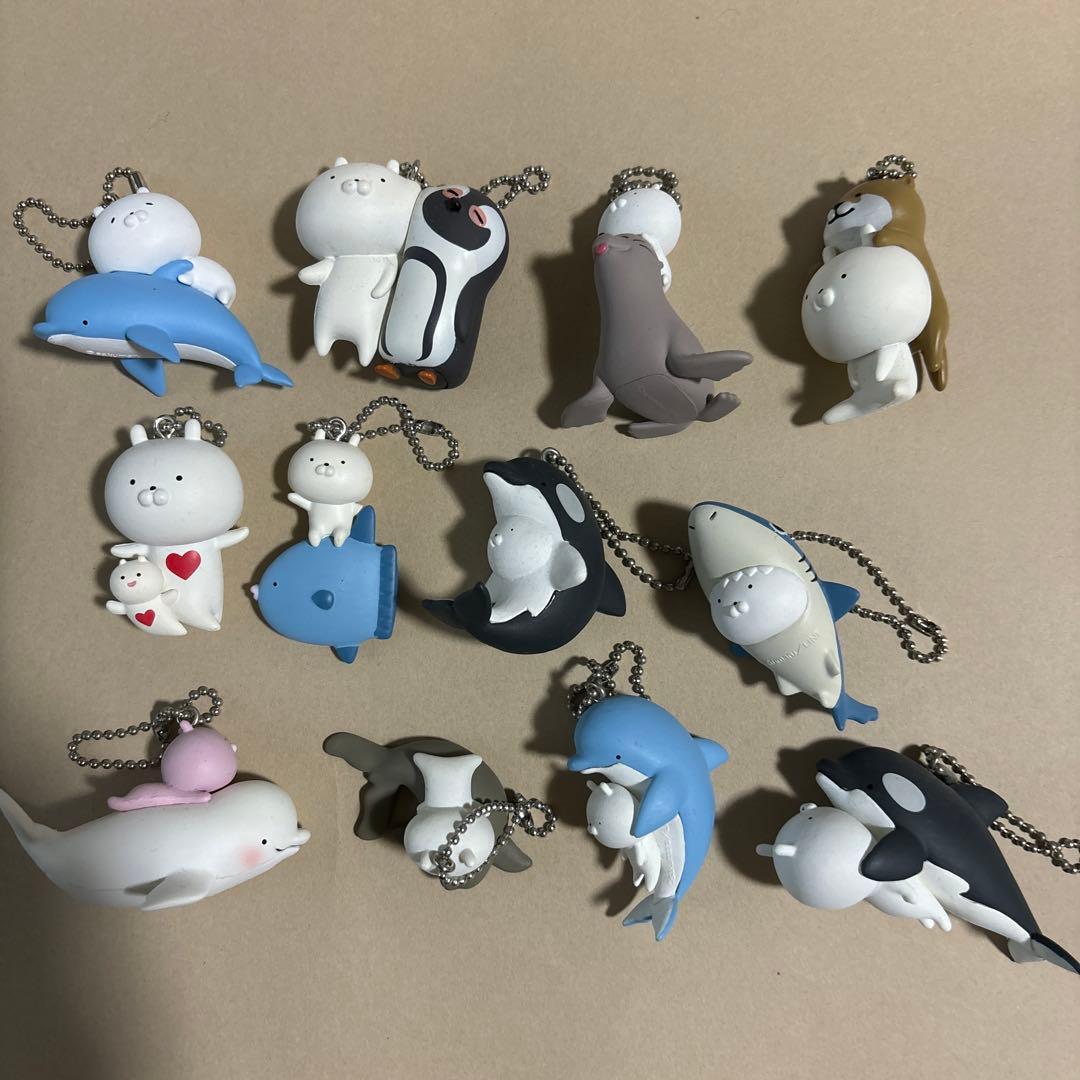うさまる　水族館　ガチャ