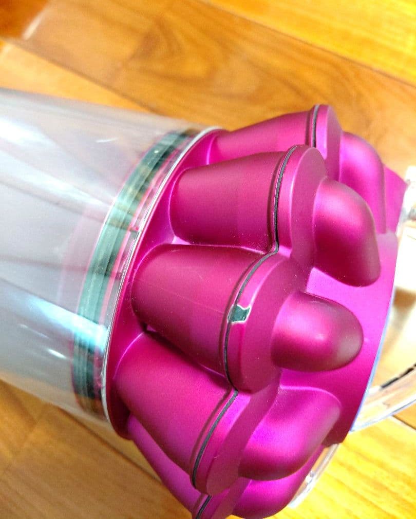 【Dyson　ダイソン　DC48　キャニスター　掃除機 】