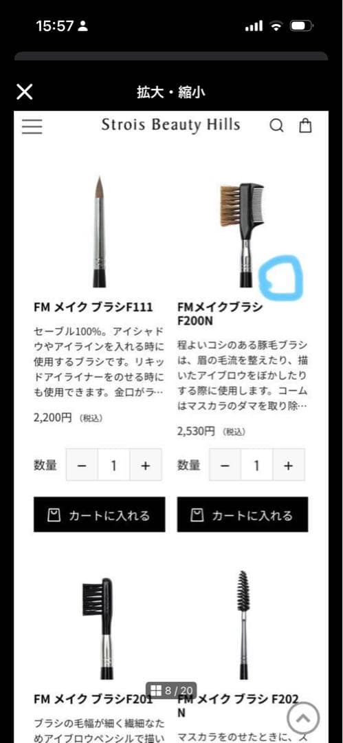 GAN メイクブラシセットforum make up