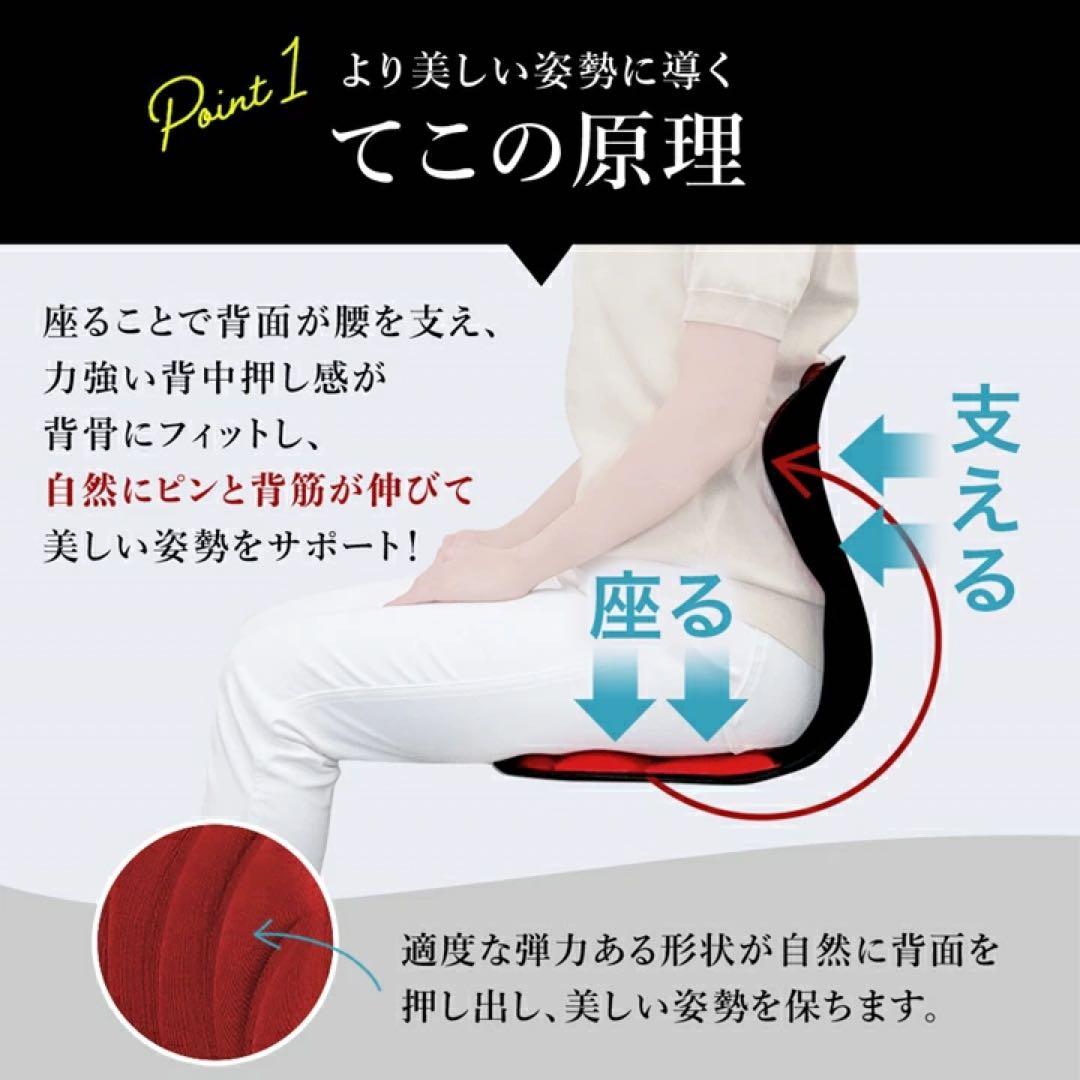 スワンル ボーテ 姿勢矯正　サポートチェア　　座椅子 骨盤矯正 猫背 セット