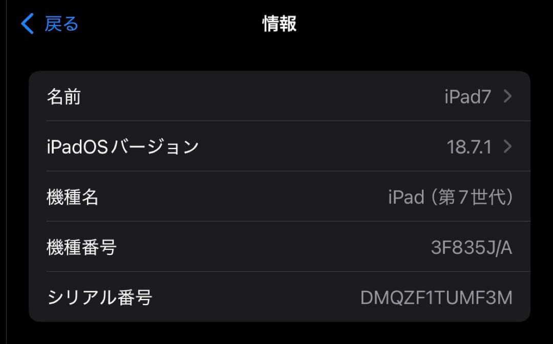 ジャンク デモ機 iPad 第7世代 32GB Space Grey
