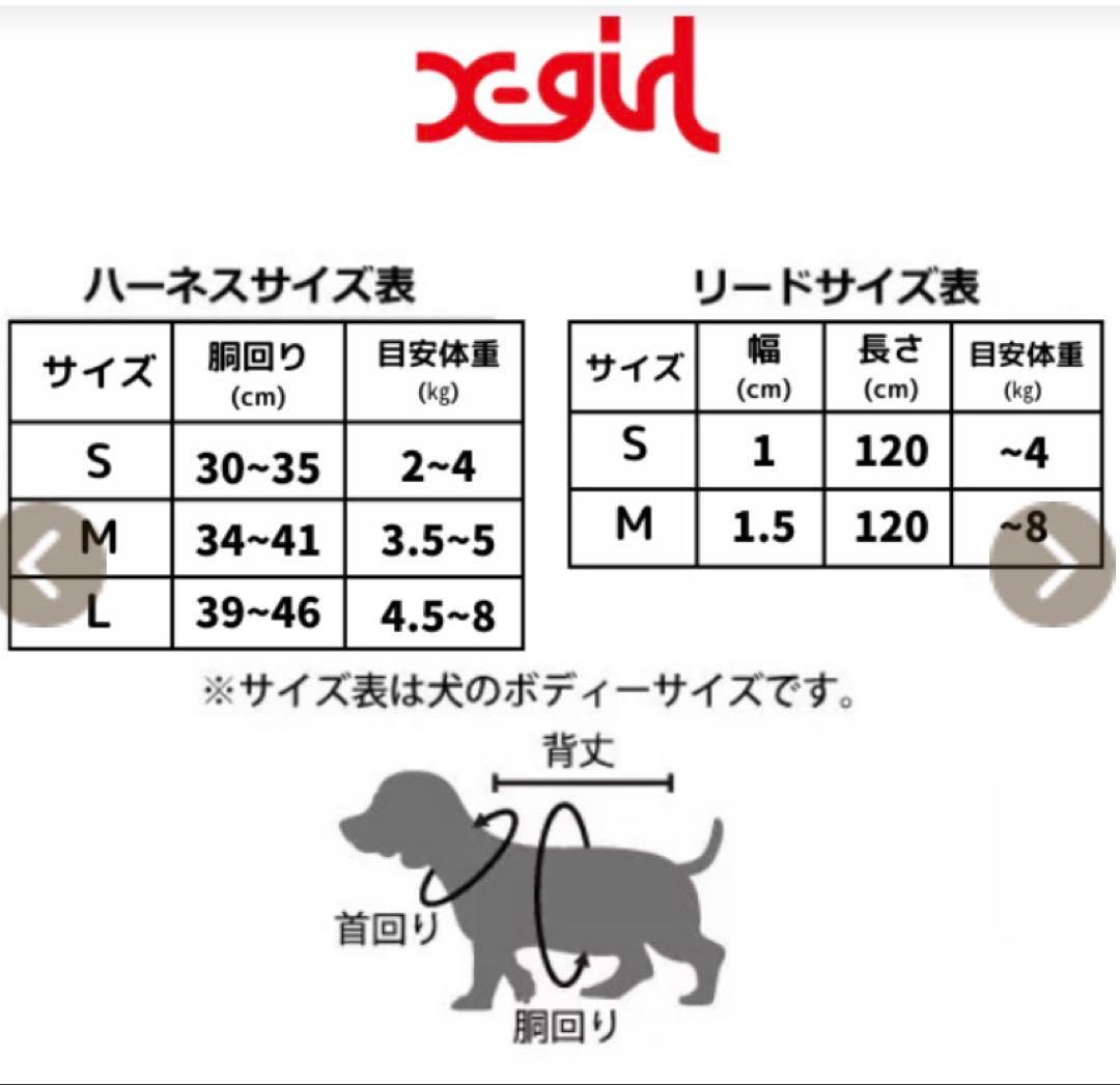X-girlエックスガール　　リード　ハーネス　セット　小型　犬　小型　イヌ