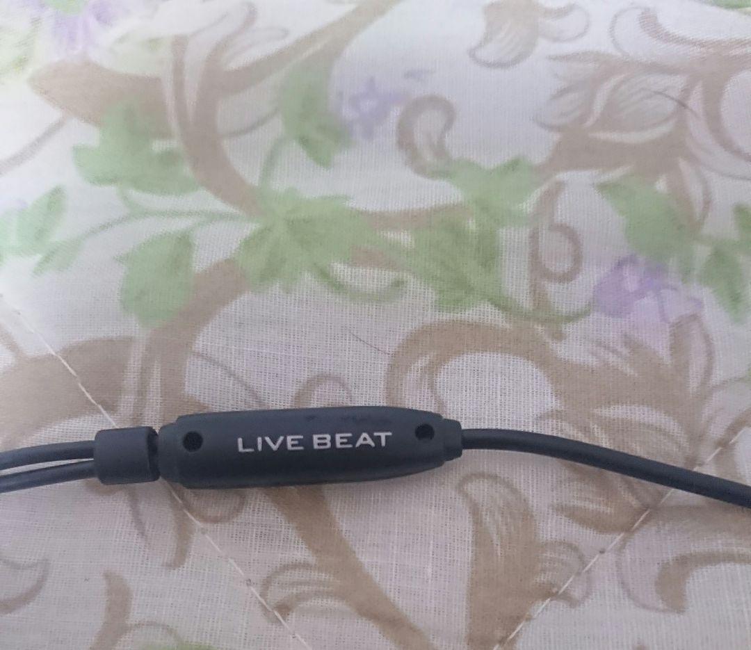 イヤホン JVC HA-FXZ100 LIVEBEAT