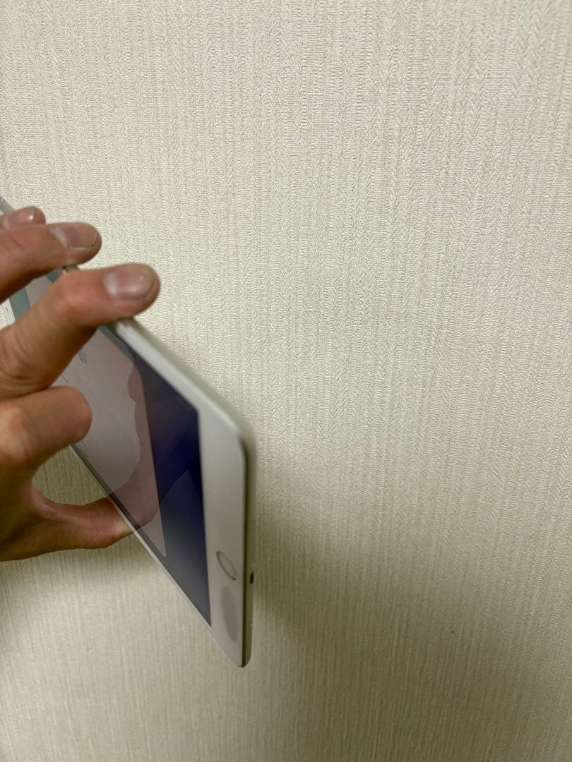 iPad mini5 Wi-Fi版 64G バッテリー最大容量87%
