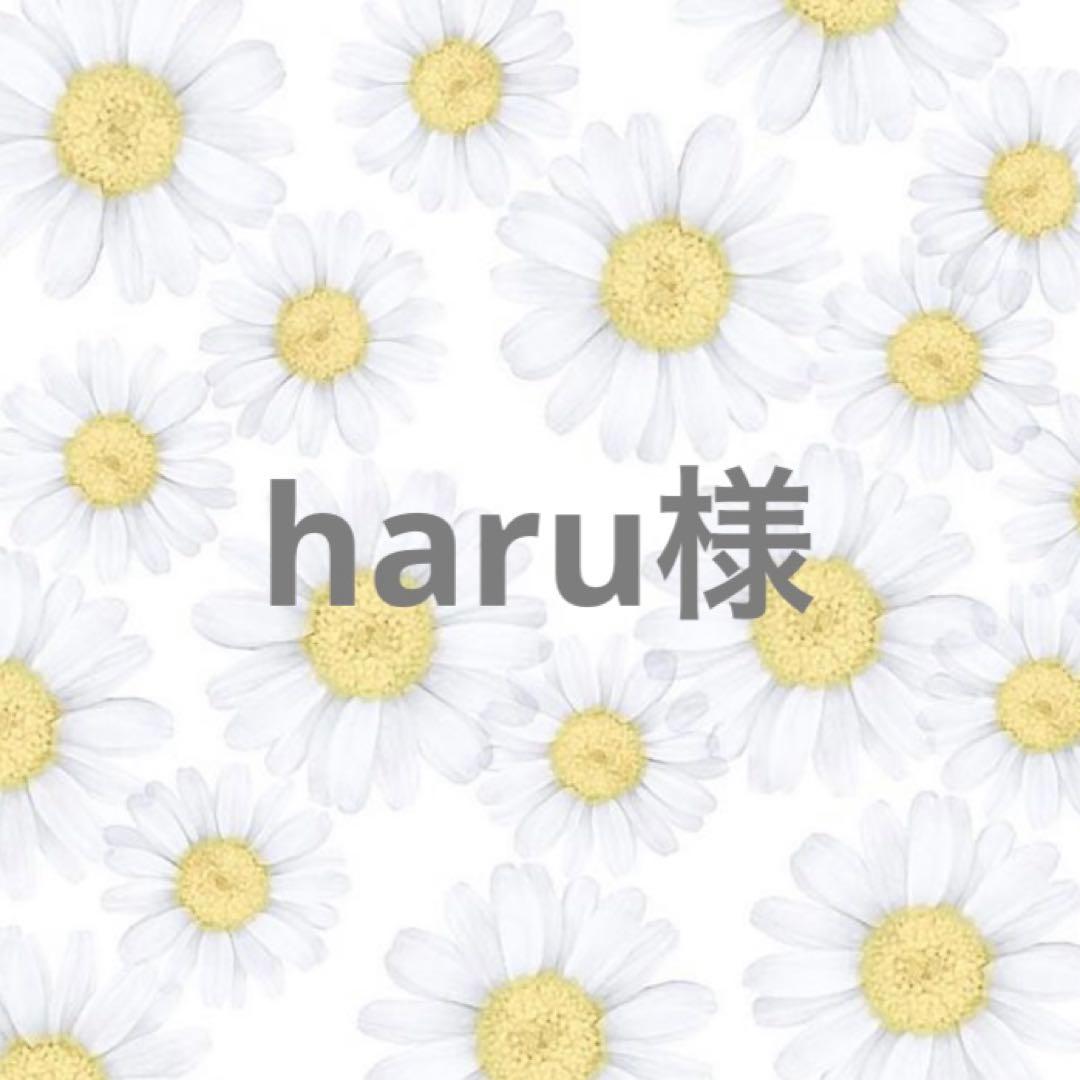 haru様　ハンドメイド　オーダー　入学　入園