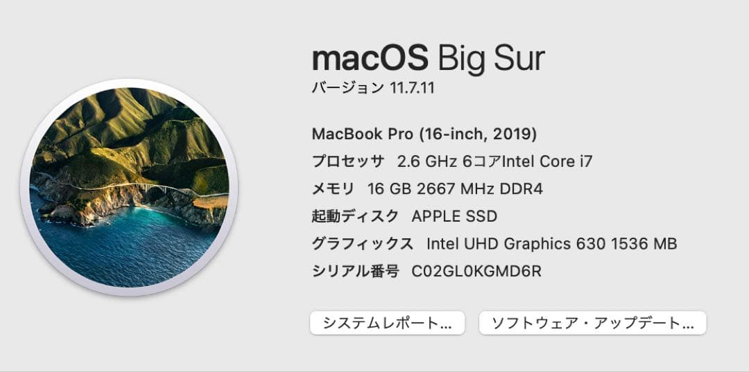 l*e様 【定額30万・極美品】MacBook Pro 16インチ　office