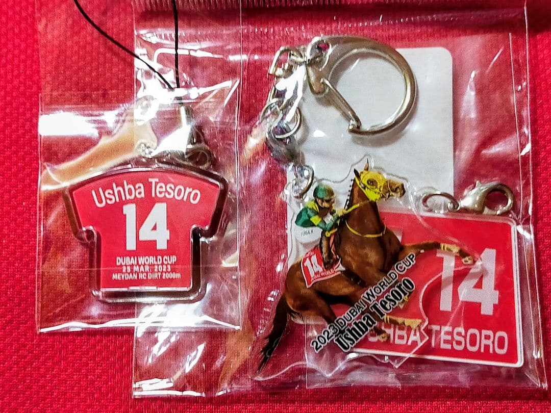 ◆　競馬　JRA　◆　ウシュバテソーロ　◆2023ドバイワールドカップ◆セット◆