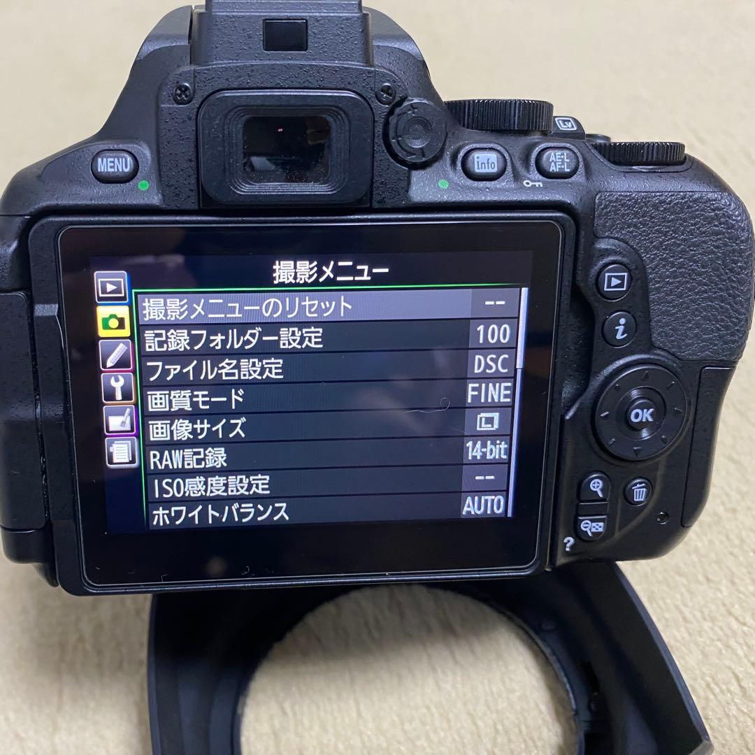 美品 Nikon D5600 16-80mm f2.8-4VRシャッタ-949回