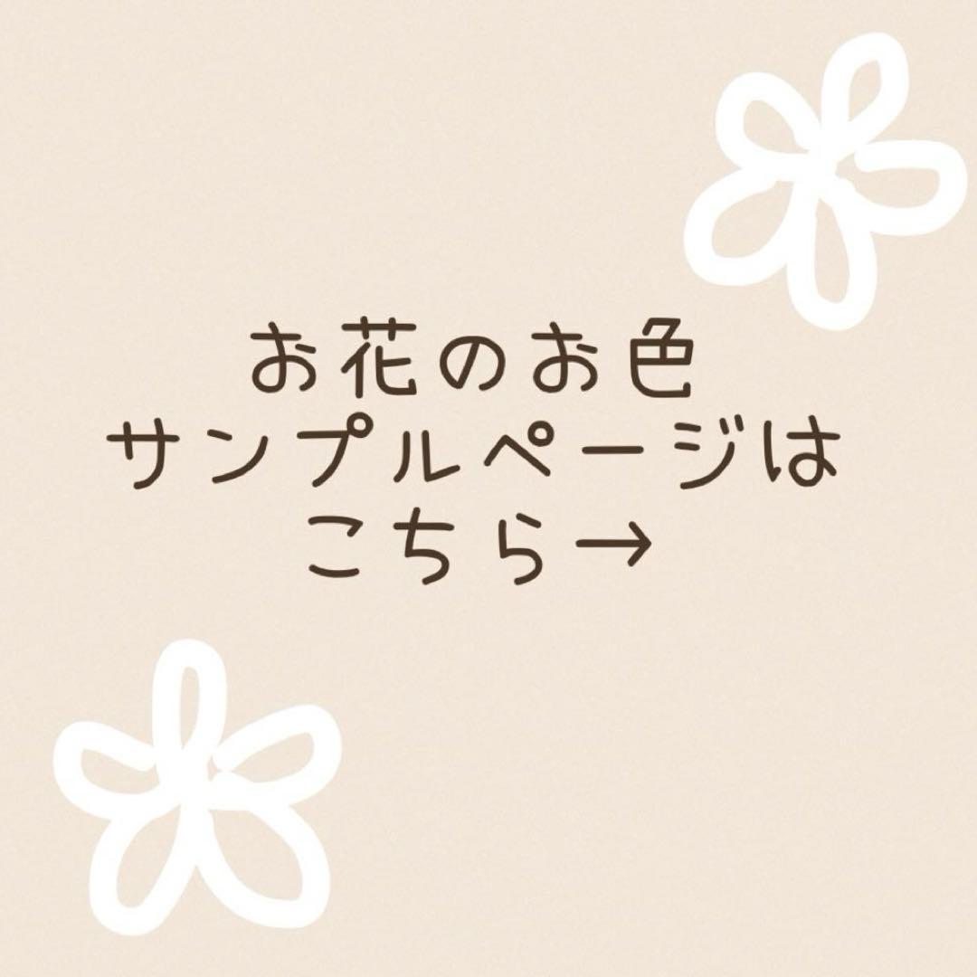 みっちー
