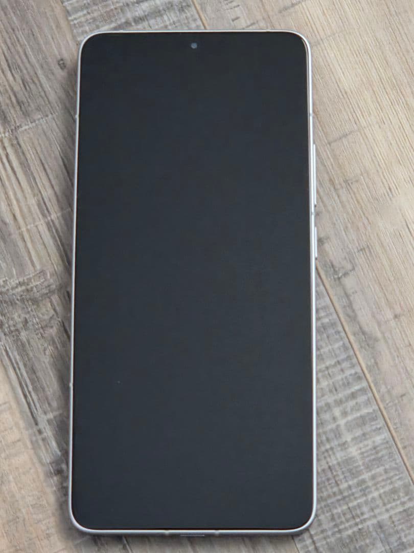 大画面 スマートフォン 120W充電器付き