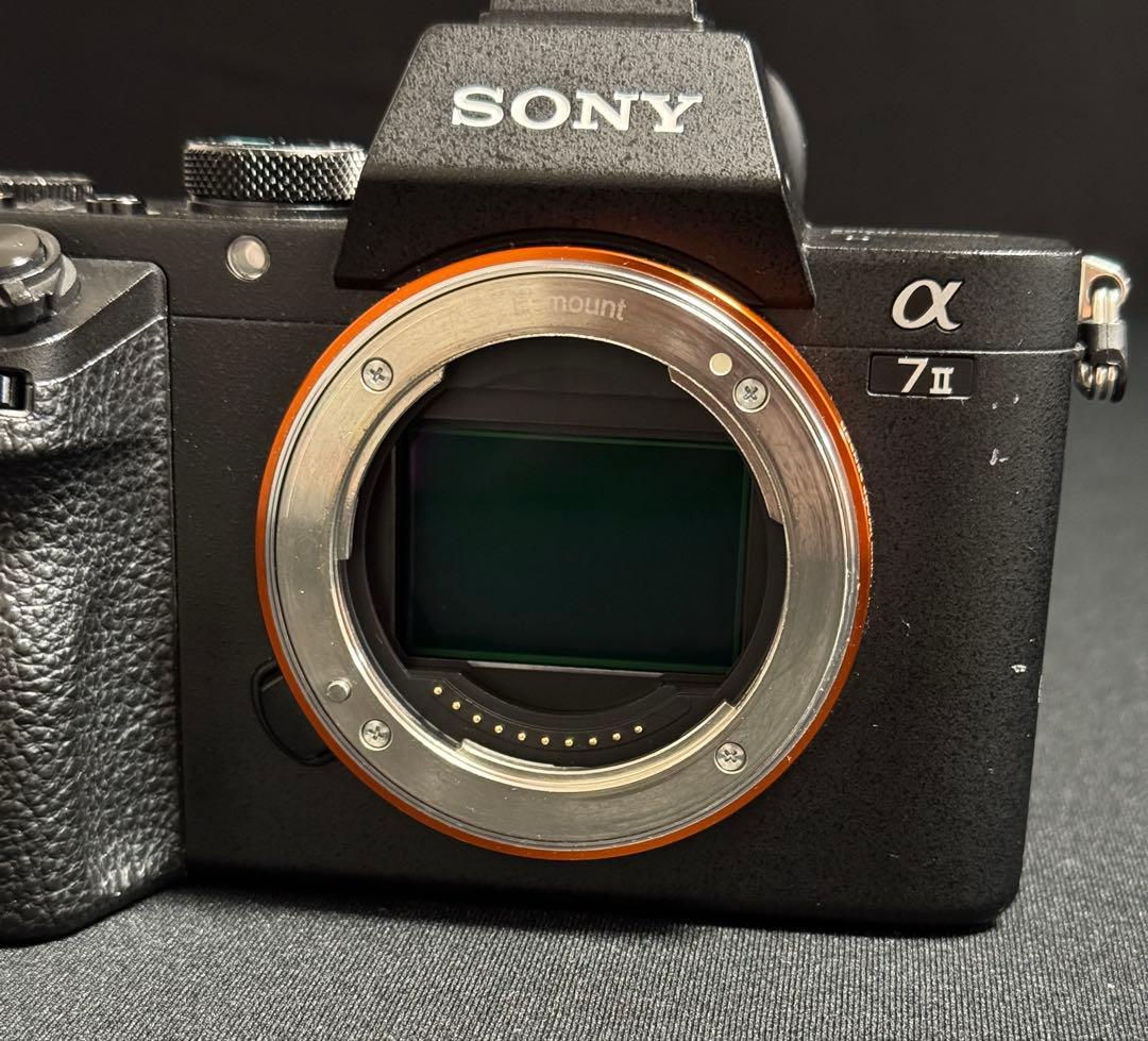 SONY α7 II ミラーレス一眼カメラ （シャッター回数:76,822）