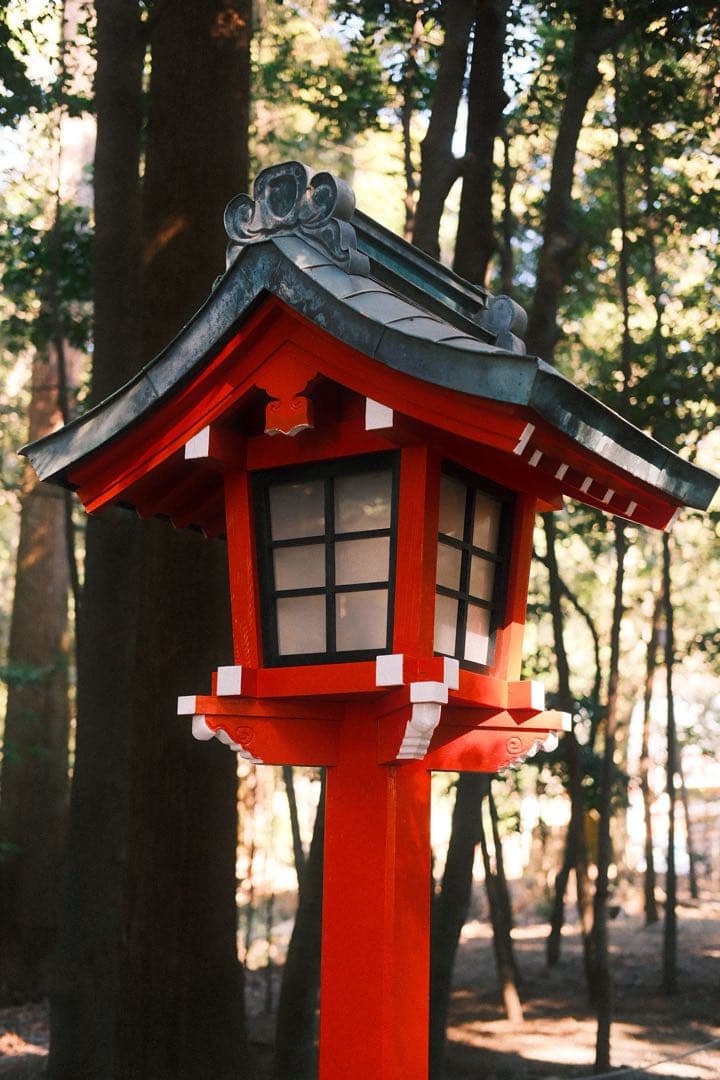 FUJIFILM X-M5 レンズキット