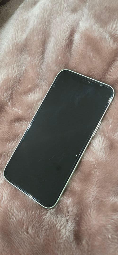 iPhone 12 mini 64GB グリーン SIMフリー おまけ付き