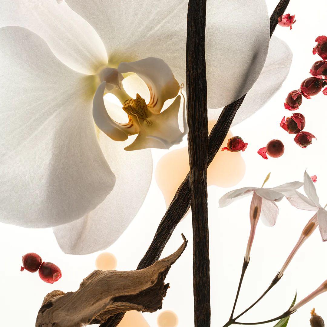 香水(女性用) PHLUR VANILLA SKIN Eau de Parfum