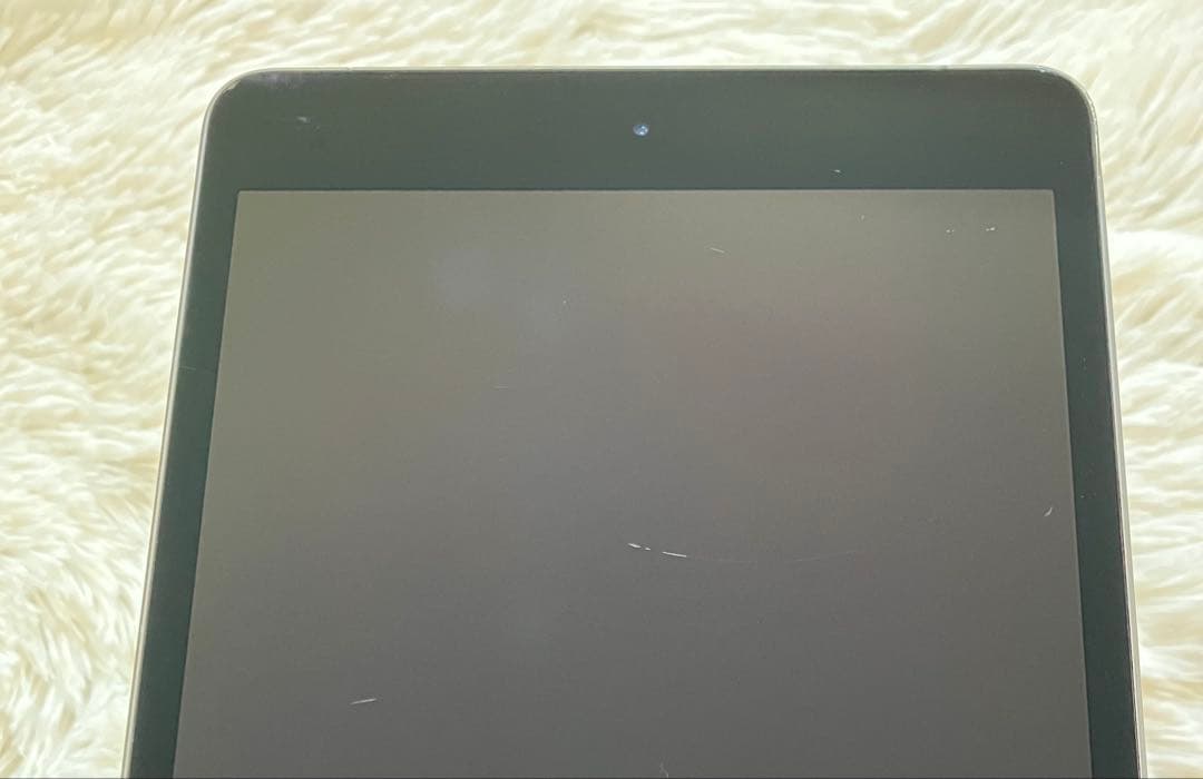 【ラスト1台】iPad mini5 256GB SIMフリー【すぐ発送】
