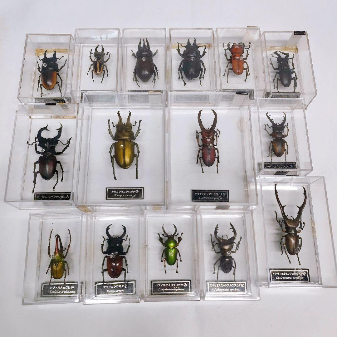 ディアゴスティーニ　世界の昆虫　フィギュア49点まとめ売り