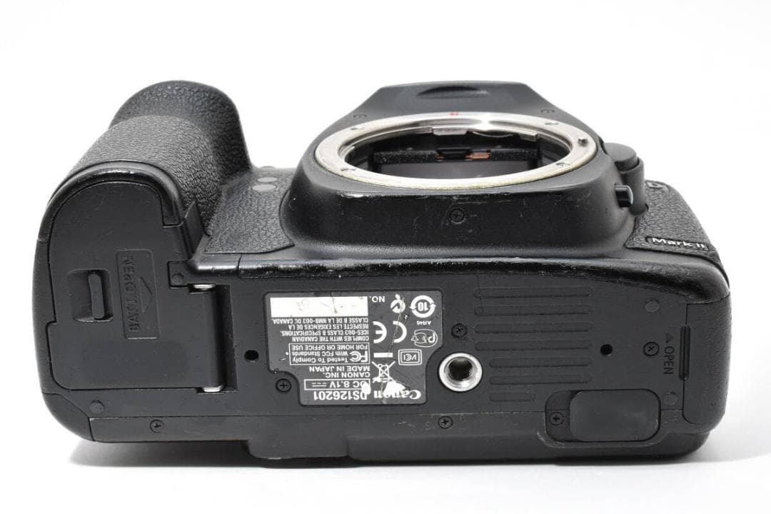 《バッテリー2個 動作光学良好》Canon EOS 5D Mark II