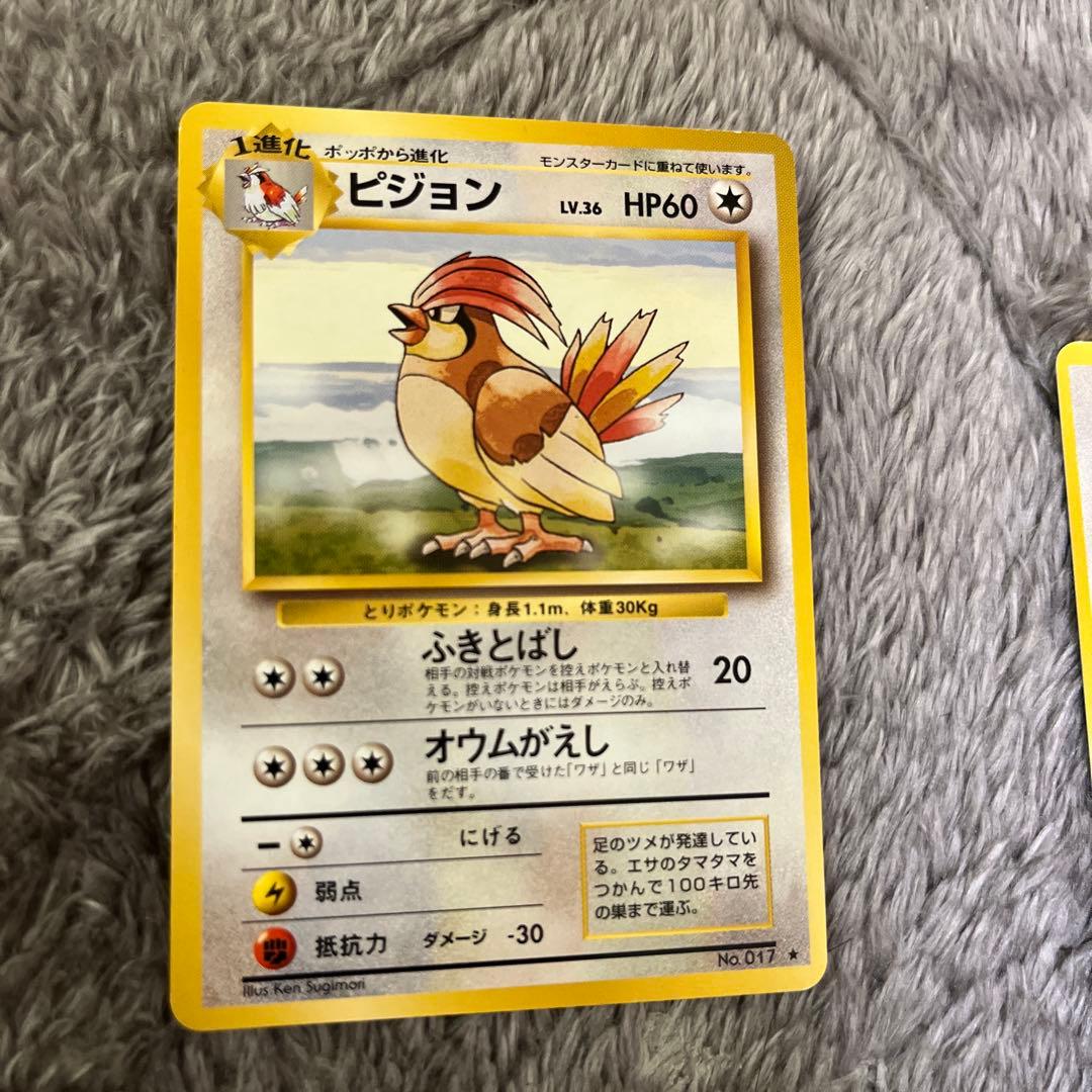 旧裏 ポッポ ピジョン