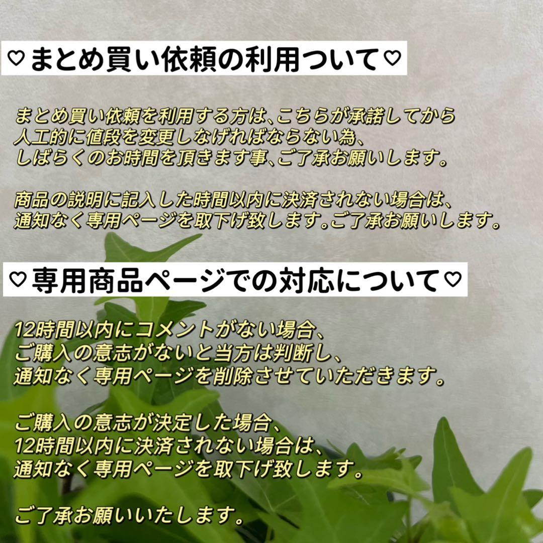 フラットスクエアパールネックレス　スティックパールネックレス　パールネックレス