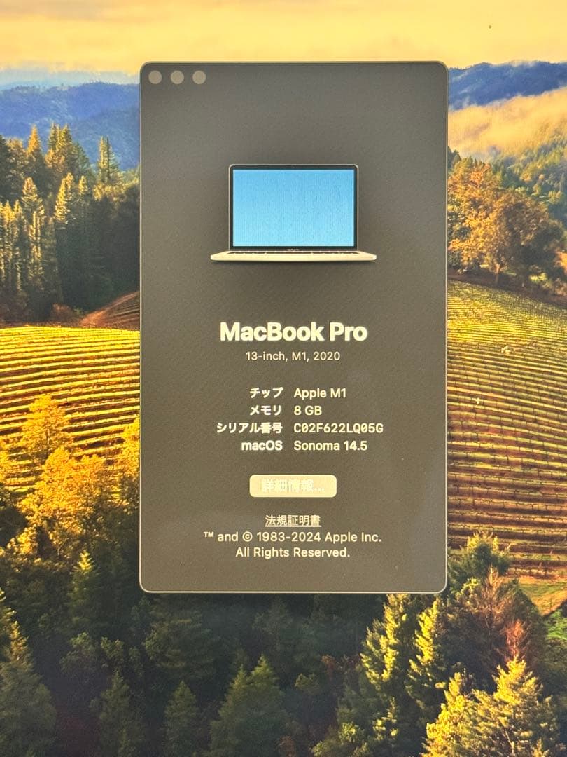 し*ん様 M1 MacBook Pro 13インチ 2020 / 8GB