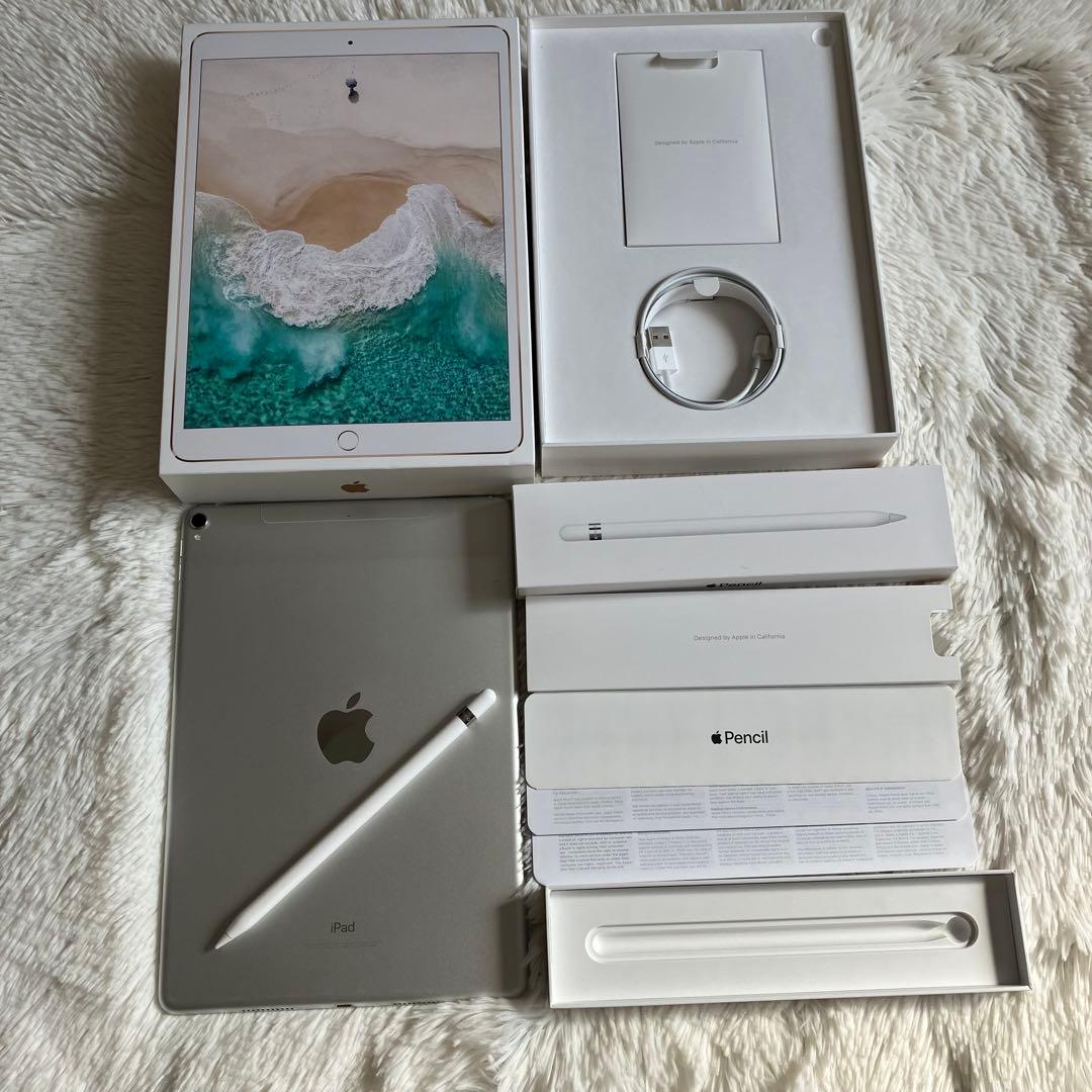【早い者勝ち】iPad Pro 10.5 256GB 付属品多数！ 【すぐ発送】