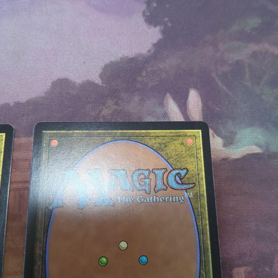 MTG 霊気走破　リバーパイアーの境界　日本語　2枚セット