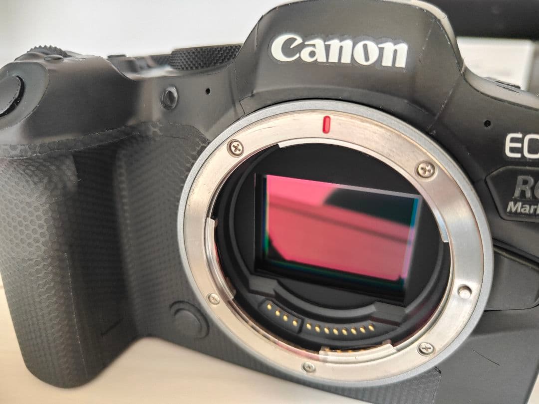 EOS R6 Mark II ボディ ミラーレス一眼カメラ 本体