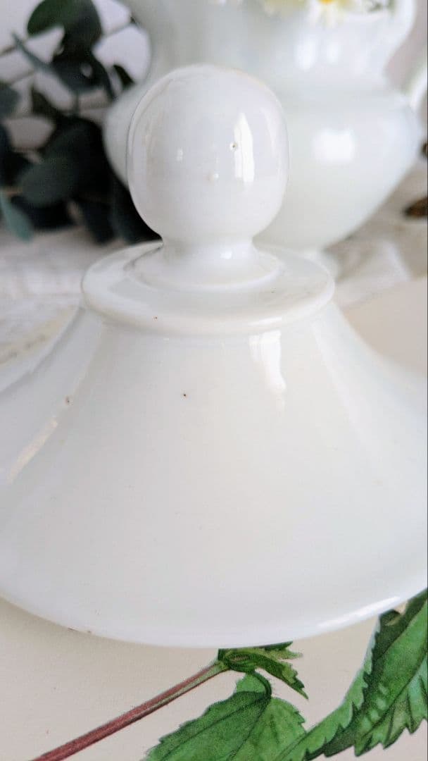 フランス アンティーク ファーマシーポット 薬瓶 Paris