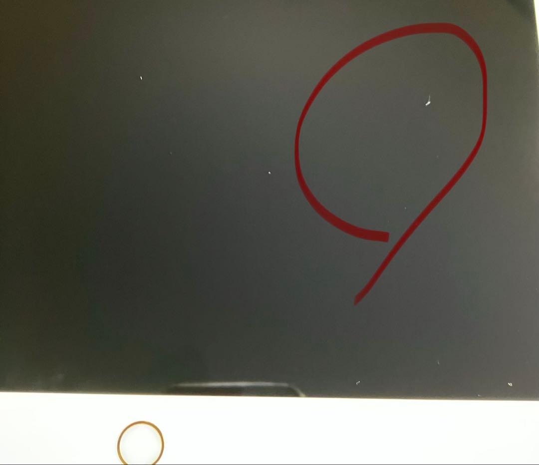 【早い者勝ち】iPad Pro 12.9 256GB 【すぐ発送】【付属品】