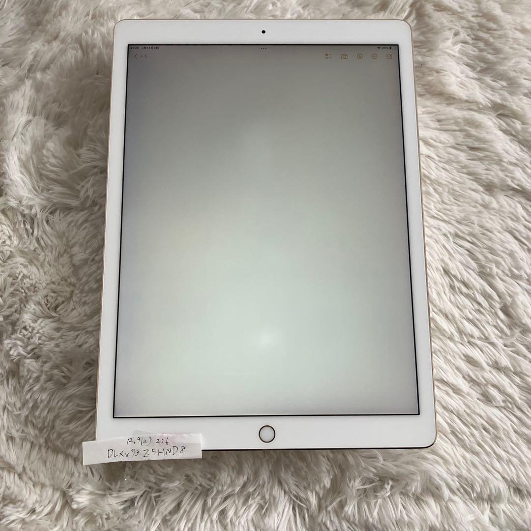 【早い者勝ち】iPad Pro 12.9 256GB 【すぐ発送】【付属品】