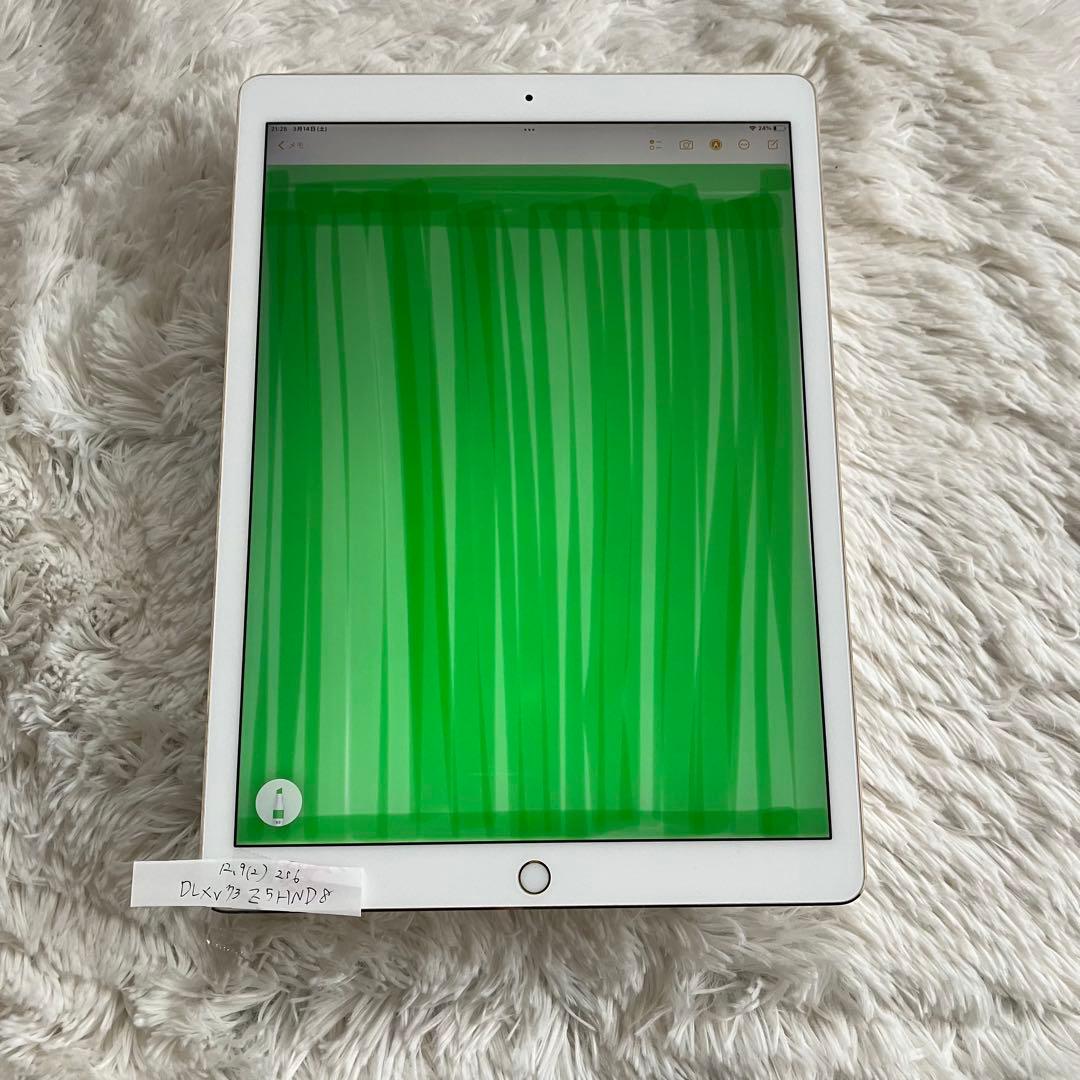 【早い者勝ち】iPad Pro 12.9 256GB 【すぐ発送】【付属品】