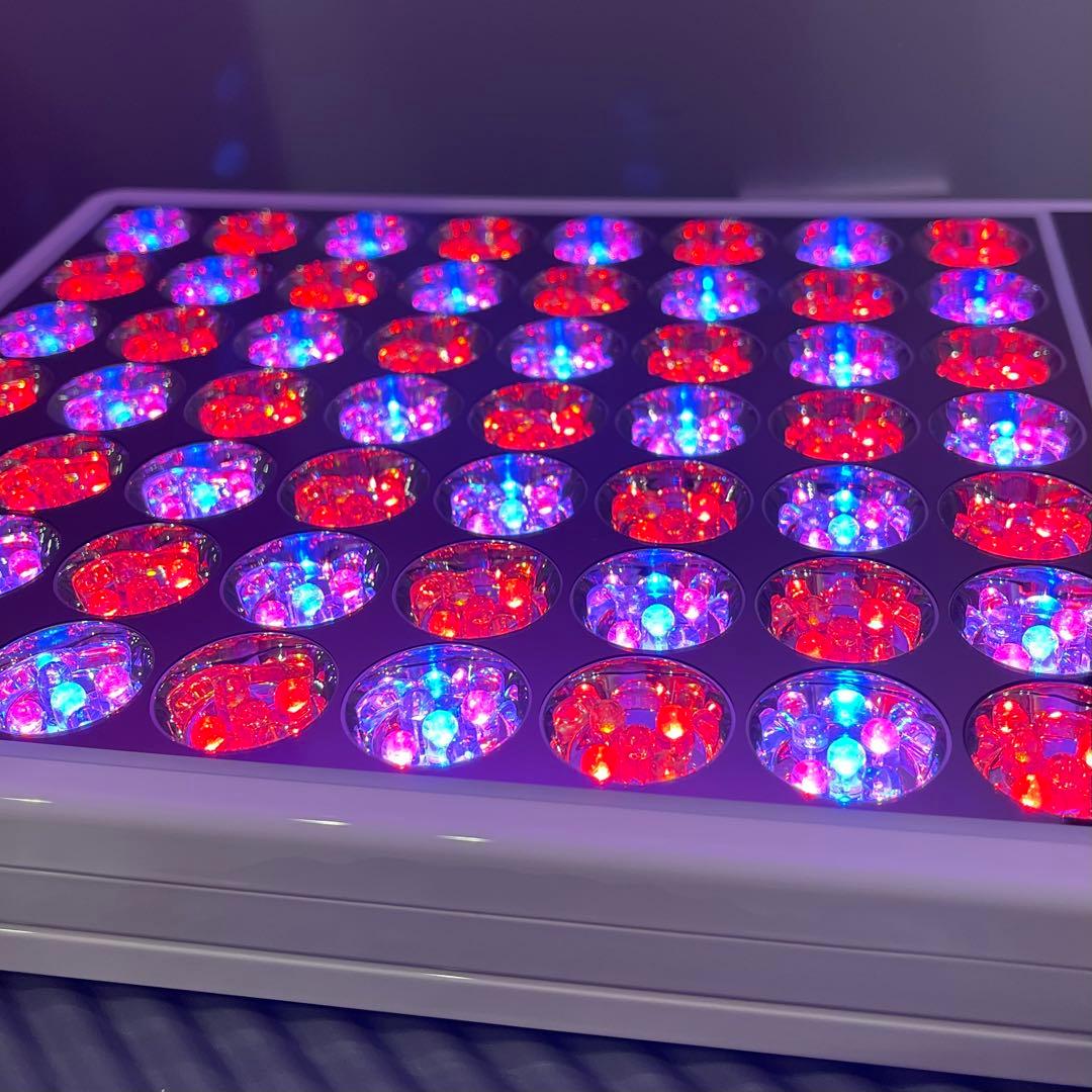 Exideal エクスイディアル 美顔器 LED フェイスケア 本体セット