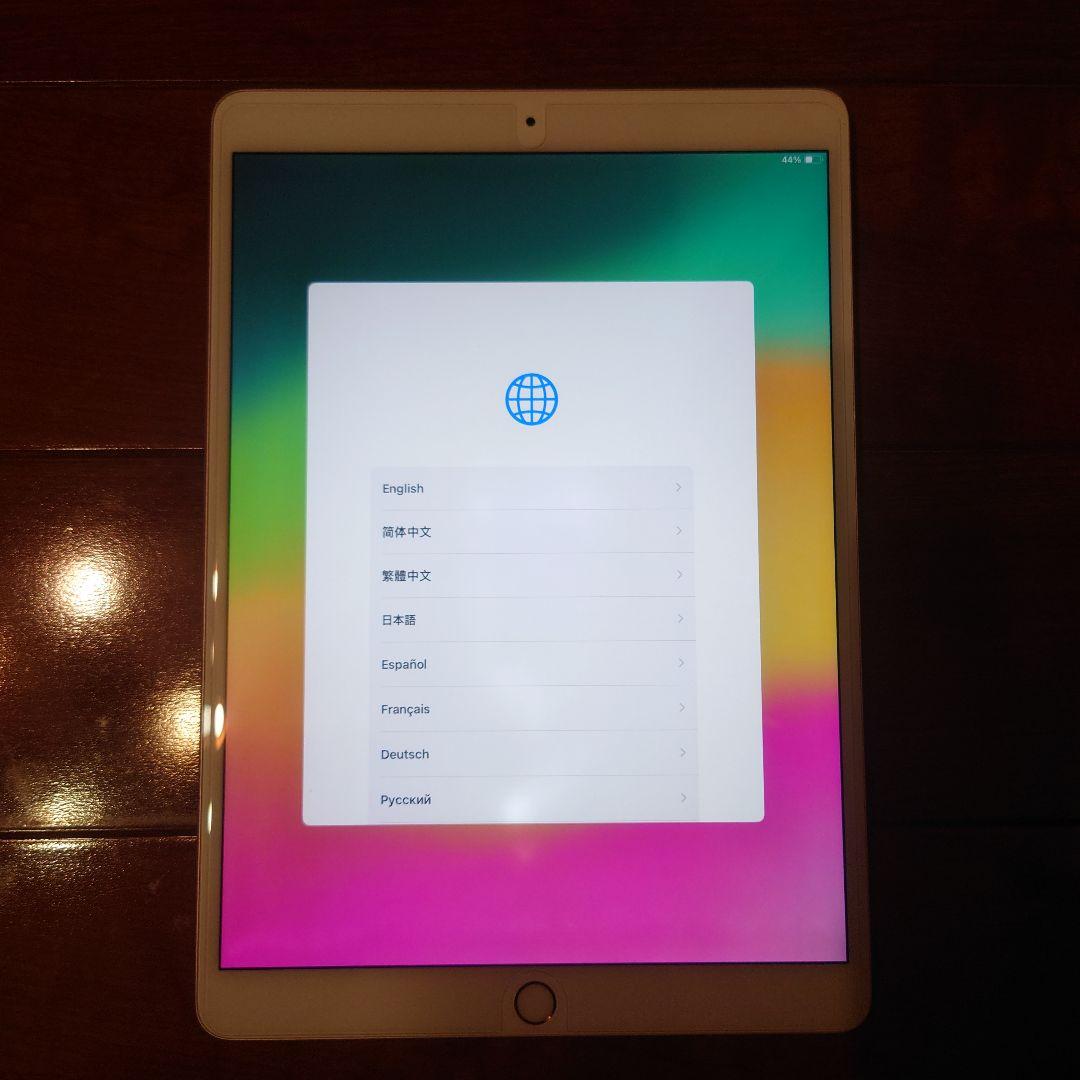 iPad Pro 10.5インチ256GB + Apple Pencil
