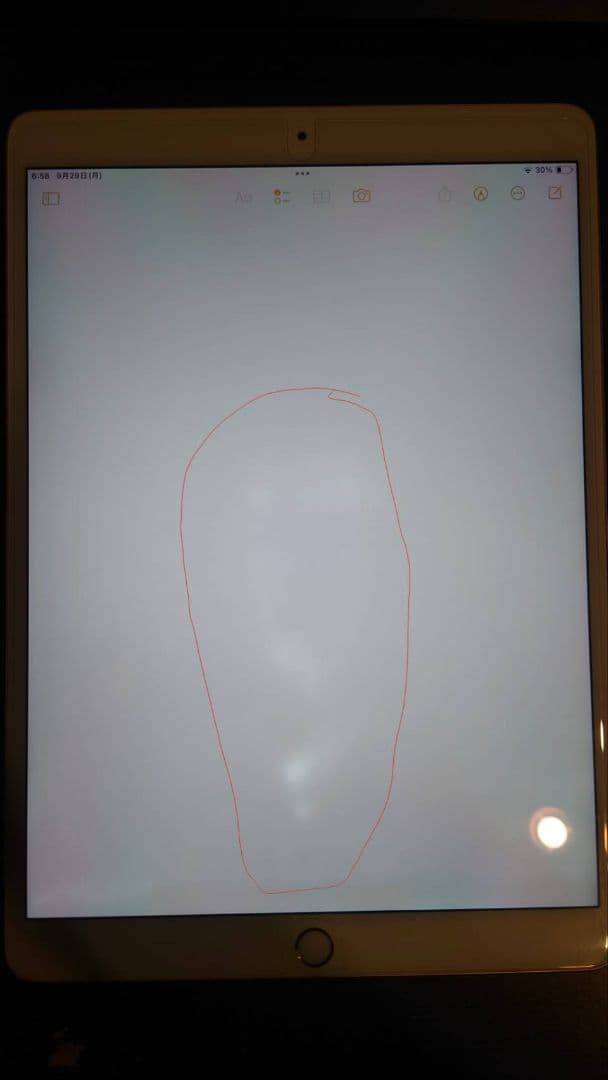 iPad Pro 10.5インチ256GB + Apple Pencil