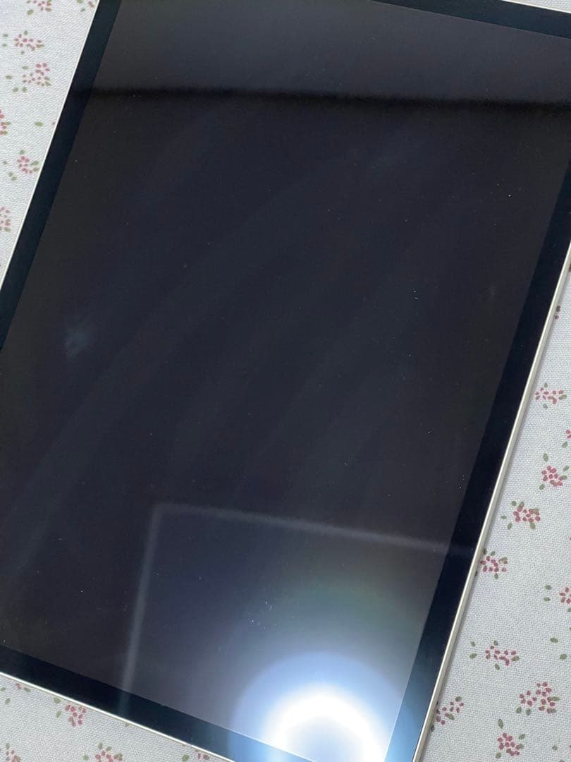 iPad Pro 11インチ (第2世代) 256GB Wi-Fi + セルラー